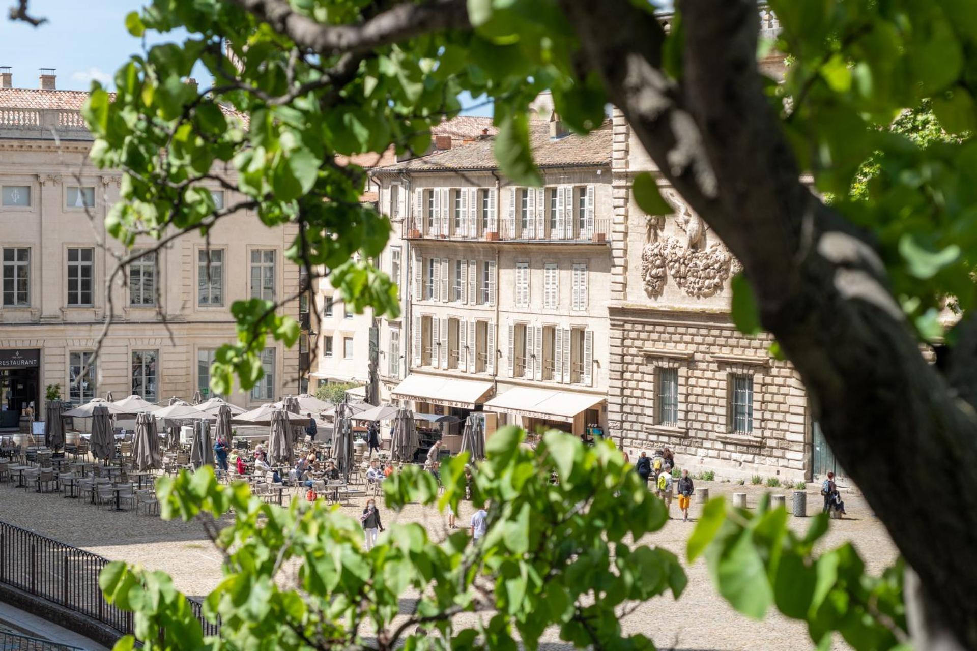 Apartmán Bien D'Exception En Face Du Palais Des Papes Avignon Exteriér fotografie